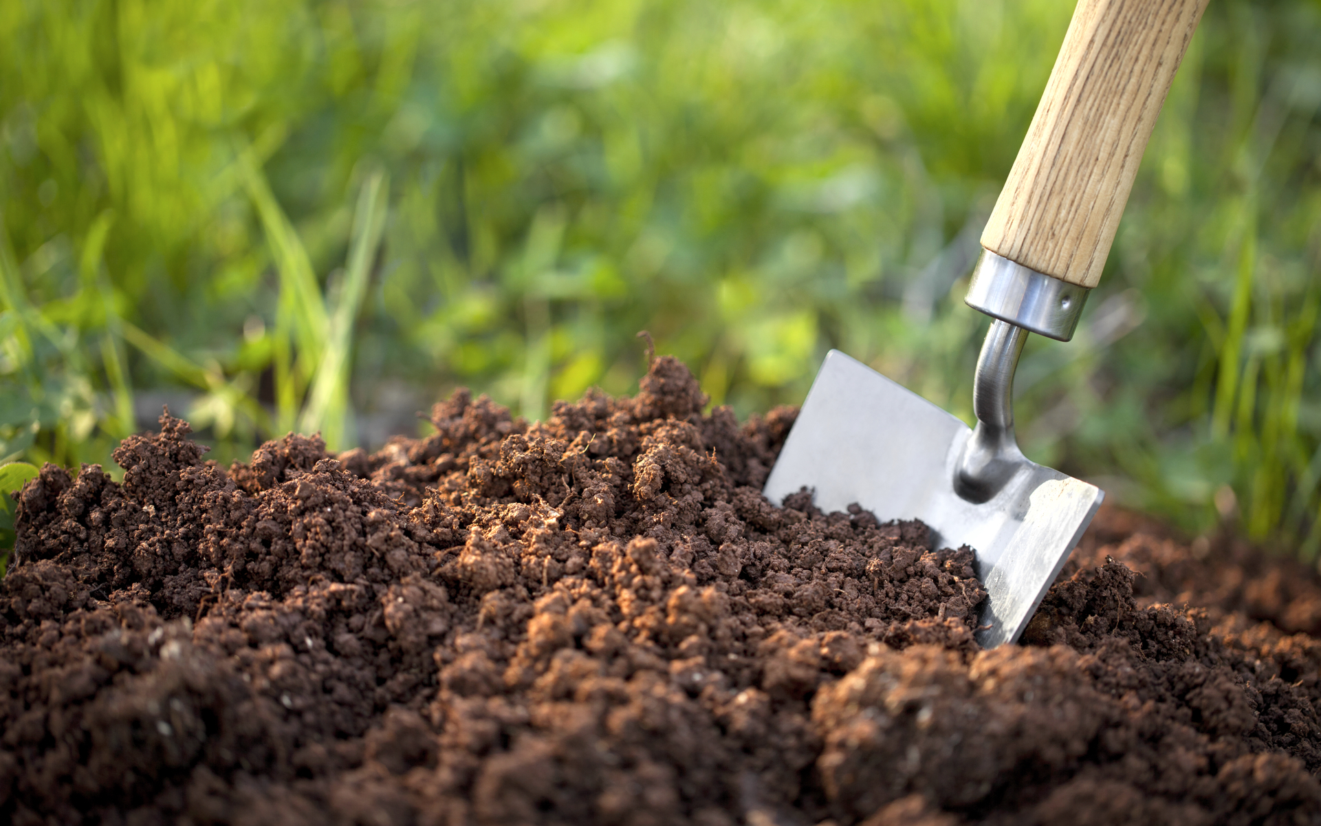 کود انسانی به تقویت خاک گلدان و باغچه کمک می کند