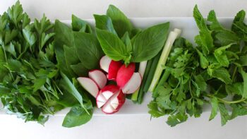 3 روش برای تازه نگه داشتن سبزی خوردن را یاد بگیرید