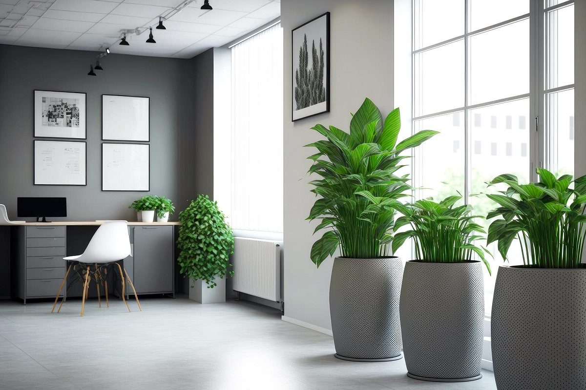 (تصاویر) خلاقانه ترین ایده های چیدمان گیاهان آپارتمانی