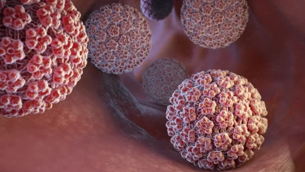 اچ پی وی چیست؟ علائم HPV، راه های انتقال و پیشگیری آن