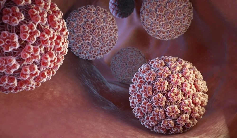 اچ پی وی چیست؟ علائم HPV، راه های انتقال و پیشگیری آن