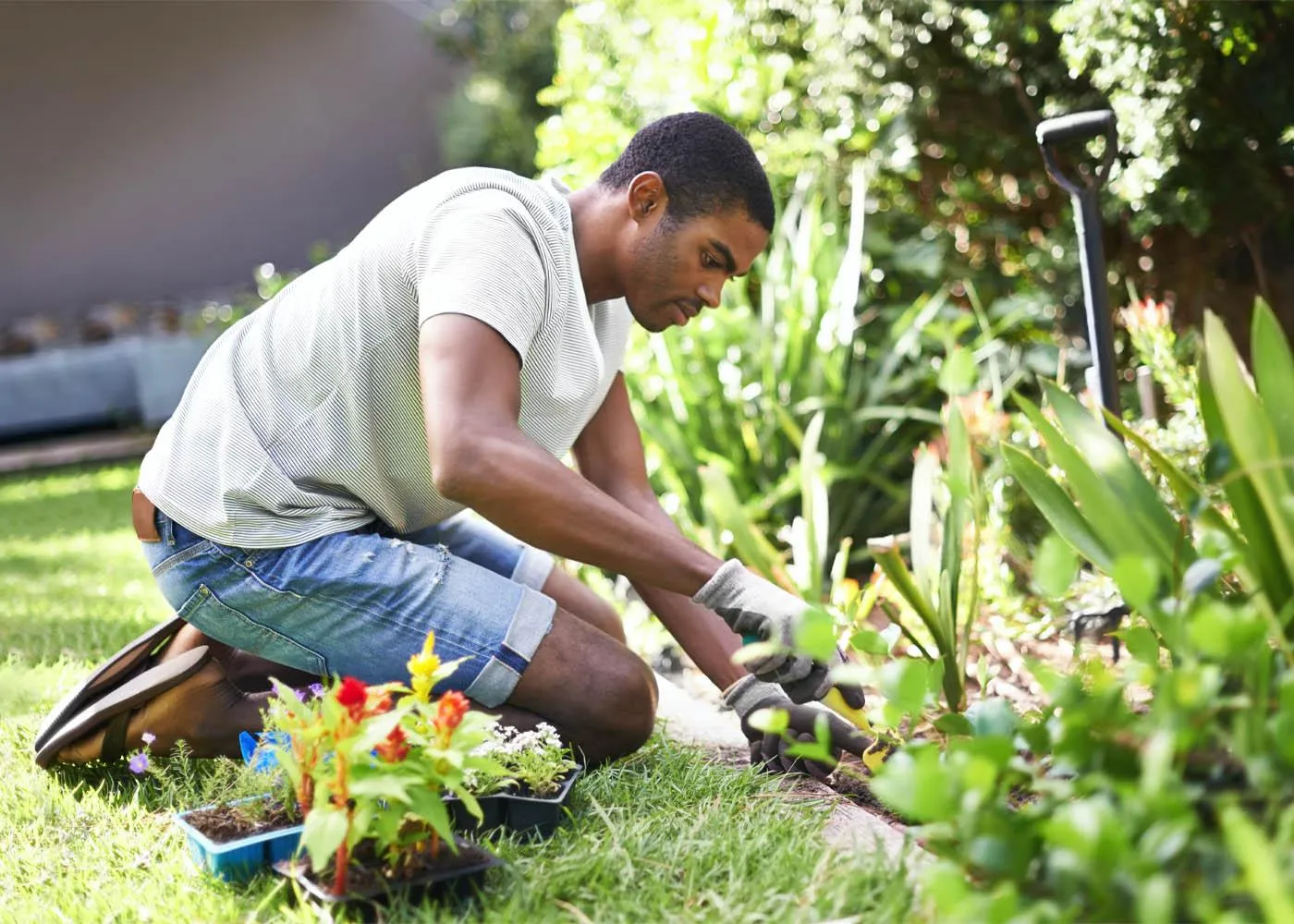 gardening