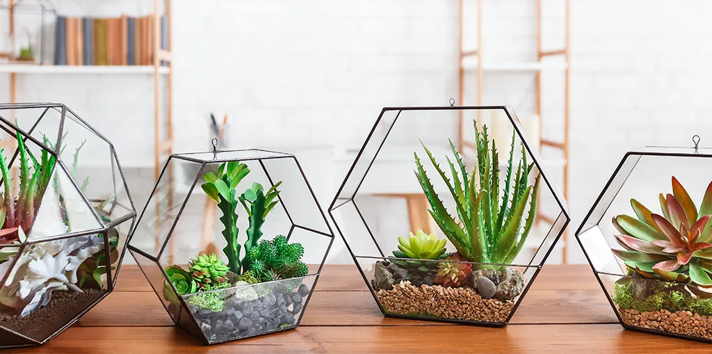 Cork terrarium