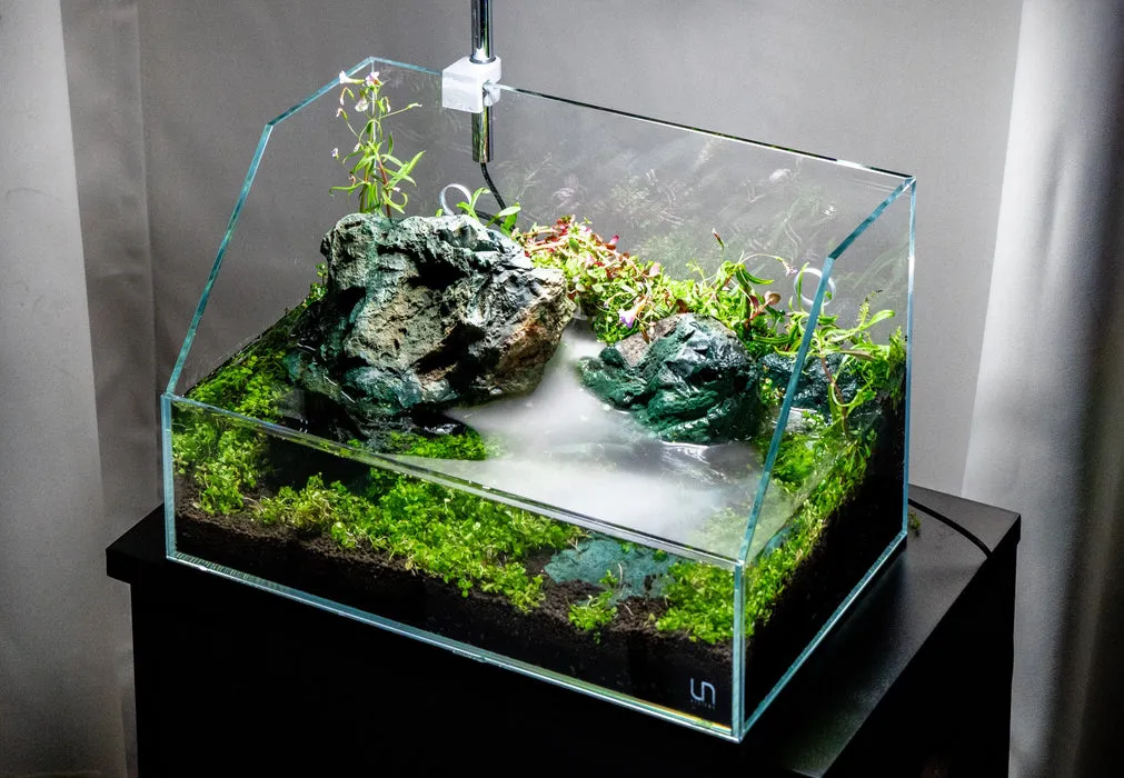 Paludarium